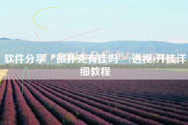 软件分享“微扑克有挂吗	”(透视)开挂详细教程