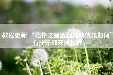 教程更新!“德扑之星透视辅助效果如何”有挂详细开挂教程