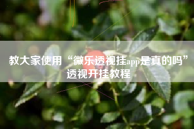教大家使用“微乐透视挂app是真的吗”透视开挂教程