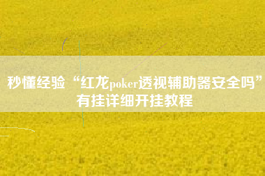 秒懂经验“红龙poker透视辅助器安全吗	”有挂详细开挂教程