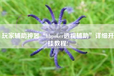 玩家辅助神器“hhpoker透视辅助”详细开挂教程!