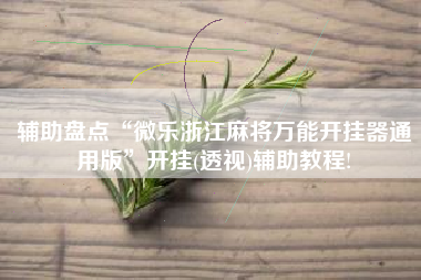 辅助盘点“微乐浙江麻将万能开挂器通用版”开挂(透视)辅助教程!