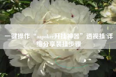 一键操作“aapoker开挂神器	”透视挂!详细分享装挂步骤