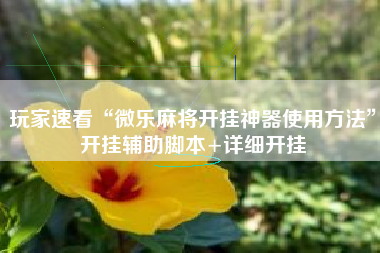 玩家速看“微乐麻将开挂神器使用方法”开挂辅助脚本+详细开挂