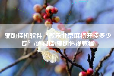 辅助挂机软件“微乐北京麻将开挂多少钱”(透视挂)辅助透视教程