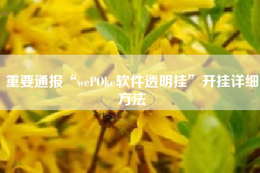 重要通报“wePOke软件透明挂	”开挂详细方法