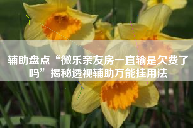辅助盘点“微乐亲友房一直输是欠费了吗	”揭秘透视辅助万能挂用法