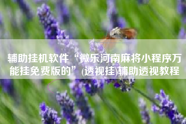 辅助挂机软件“微乐河南麻将小程序万能挂免费版的”(透视挂)辅助透视教程