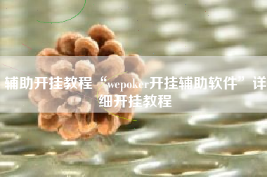 辅助开挂教程“wepoker开挂辅助软件	”详细开挂教程