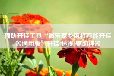 辅助开挂工具“微乐家乡麻将万能开挂器通用版”开挂(透视)辅助神器