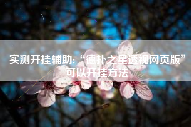 实测开挂辅助:“德扑之星透视网页版”可以开挂方法