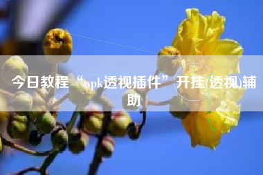 今日教程“wpk透视插件”开挂(透视)辅助