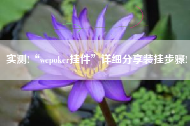 实测!“wepoker挂件	”详细分享装挂步骤!