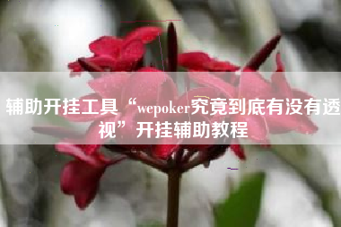 辅助开挂工具“wepoker究竟到底有没有透视”开挂辅助教程