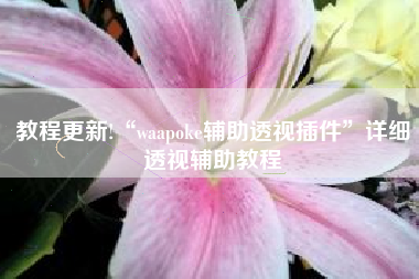 教程更新!“waapoke辅助透视插件	”详细透视辅助教程