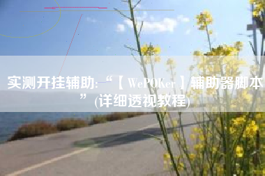 实测开挂辅助:“【WePOKer】辅助器脚本”(详细透视教程)