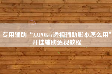 专用辅助“AAPOKer透视辅助脚本怎么用”开挂辅助透视教程