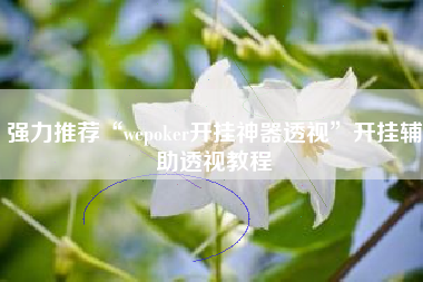 强力推荐“wepoker开挂神器透视”开挂辅助透视教程