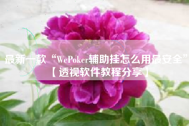 最新一款“WePoker辅助挂怎么用最安全	”【透视软件教程分享】