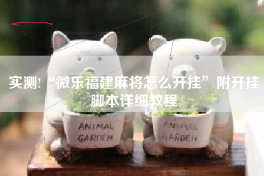 实测!“微乐福建麻将怎么开挂”附开挂脚本详细教程