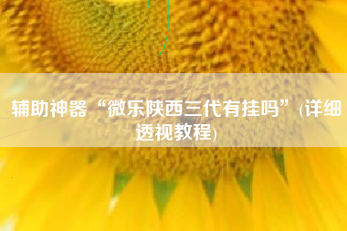 辅助神器“微乐陕西三代有挂吗	”(详细透视教程)