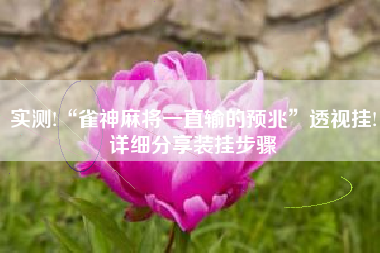 实测!“雀神麻将一直输的预兆”透视挂!详细分享装挂步骤