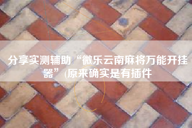 分享实测辅助“微乐云南麻将万能开挂器	”(原来确实是有插件