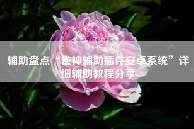 辅助盘点“雀神辅助插件安卓系统	”详细辅助教程分享