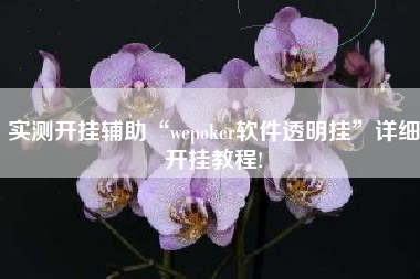 实测开挂辅助“wepoker软件透明挂	”详细开挂教程!