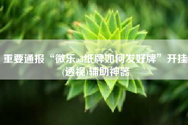 重要通报“微乐a3纸牌如何发好牌	”开挂(透视)辅助神器