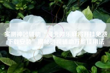 实测神器辅助“河北微乐麻将开挂免费下载安装	”揭秘透视辅助万能挂用法