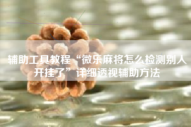 辅助工具教程“微乐麻将怎么检测别人开挂了”详细透视辅助方法