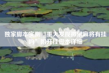 独家脚本实测“重大发现微乐麻将有挂吗	”附开挂脚本详细