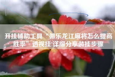 开挂辅助工具“微乐龙江麻将怎么提高胜率”透视挂!详细分享装挂步骤