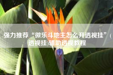 强力推荐“微乐斗地主怎么开透视挂”(透视挂)辅助透视教程