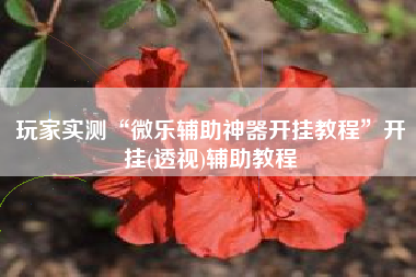 玩家实测“微乐辅助神器开挂教程”开挂(透视)辅助教程