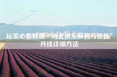 玩家必看教程“河北微乐麻将万能挂”开挂详细方法