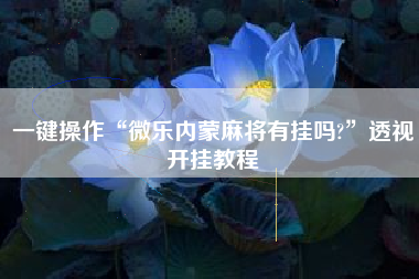 一键操作“微乐内蒙麻将有挂吗?”透视开挂教程