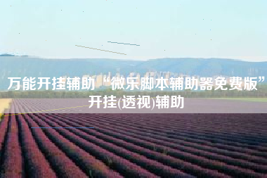 万能开挂辅助“微乐脚本辅助器免费版”开挂(透视)辅助