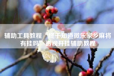 辅助工具教程“终于知道微乐家乡麻将有挂吗”透视开挂辅助教程