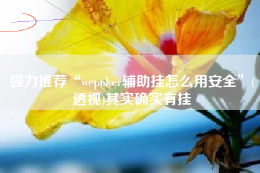 强力推荐“wepoker辅助挂怎么用安全	”(透视)其实确实有挂
