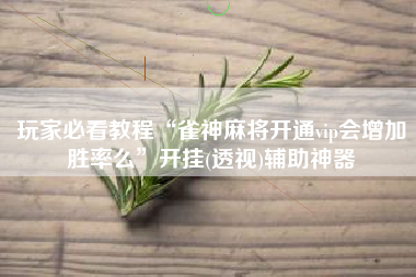 玩家必看教程“雀神麻将开通vip会增加胜率么”开挂(透视)辅助神器