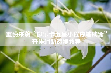 重磅来袭“微乐卡五星小程序辅助器	”开挂辅助透视教程