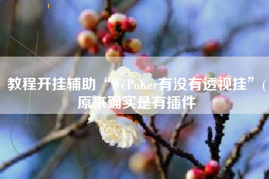 教程开挂辅助“WePoKer有没有透视挂”(原来确实是有插件
