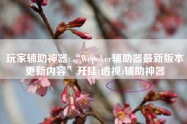 玩家辅助神器:“Wepoker辅助器最新版本更新内容	”开挂(透视)辅助神器