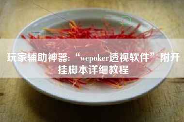 玩家辅助神器:“wepoker透视软件”附开挂脚本详细教程
