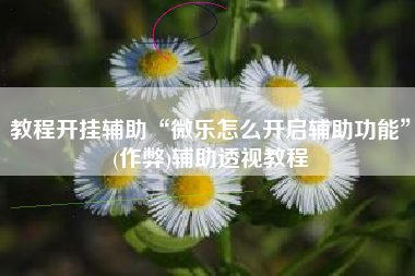 教程开挂辅助“微乐怎么开启辅助功能	”(作弊)辅助透视教程
