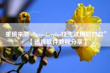 重磅来袭“wepokerplus挂先试用后付款”【透视软件教程分享】