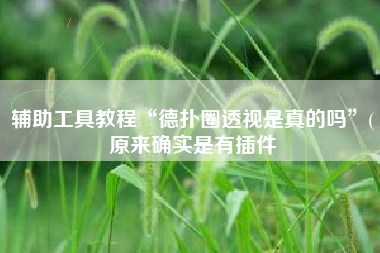 辅助工具教程“德扑圈透视是真的吗	”(原来确实是有插件