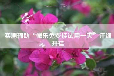 实测辅助“微乐免费挂试用一天	”详细开挂